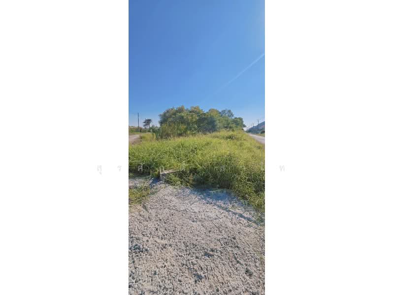 Vacant Land 3-3-39 Rai Suwinthawong52 Soi.Nong Chok Land office, Bangkok, Lam Phak Chi, Nong Chok, Bangkok, , 6,156 sqm, Land For Sale, by Surasak Satho, 500207955 - DDproperty.com