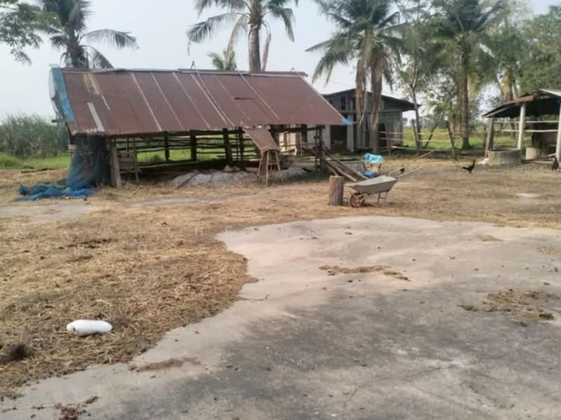 ที่ดินเสลภูมิ ร้อยเอ็ด, Roi Et, Khwao, Selaphum, Roi Et, , 11,500 sqm, Land For Sale, by The Best Property โบว์ลิ่ง, 500207983 - DDproperty.com