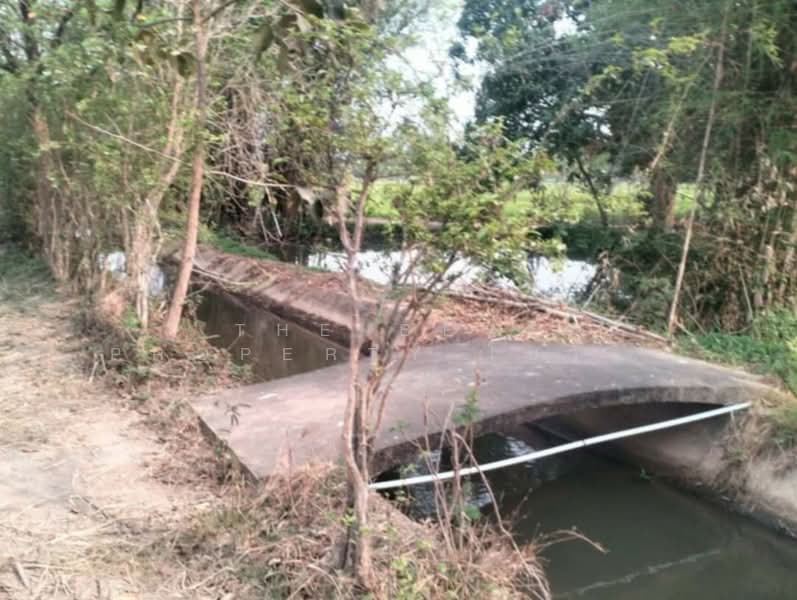 ที่ดินเสลภูมิ ร้อยเอ็ด, Roi Et, Khwao, Selaphum, Roi Et, , 11,500 sqm, Land For Sale, by The Best Property โบว์ลิ่ง, 500207983 - DDproperty.com