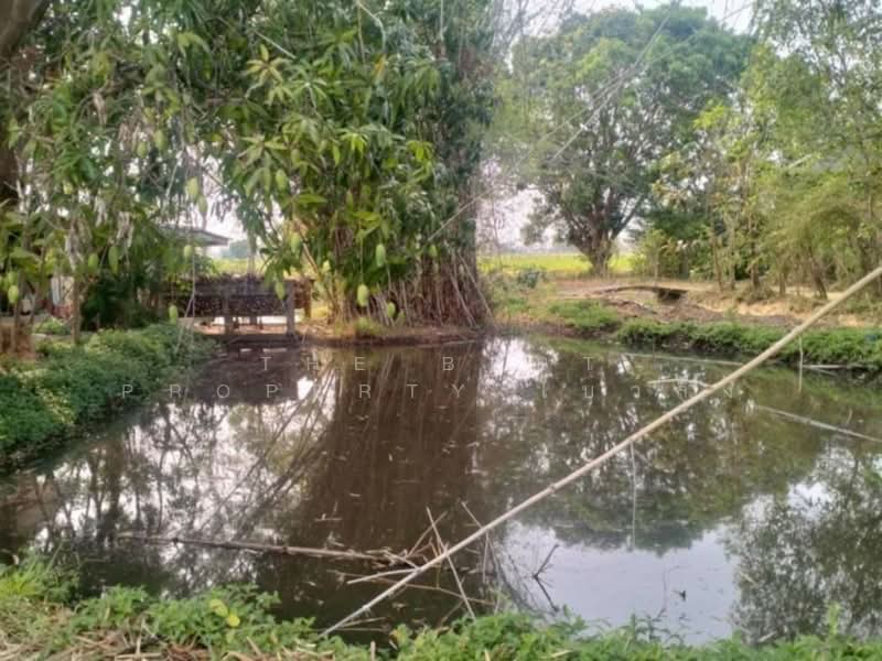 ที่ดินเสลภูมิ ร้อยเอ็ด, ร้อยเอ็ด, ขวาว, เสลภูมิ, ร้อยเอ็ด, 11,500 ตร.ม., ที่ดิน ขาย, โดย The Best Property โบว์ลิ่ง, 500207983 - DDproperty.com