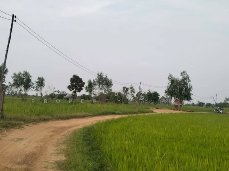ที่ดินเสลภูมิ ร้อยเอ็ด, Roi Et, Khwao, Selaphum, Roi Et, , 11,500 sqm, Land For Sale, by The Best Property โบว์ลิ่ง, 500207983 - DDproperty.com