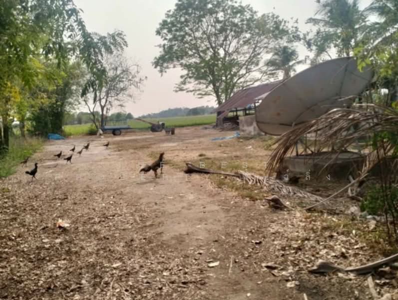 ที่ดินเสลภูมิ ร้อยเอ็ด, Roi Et, Khwao, Selaphum, Roi Et, , 11,500 sqm, Land For Sale, by The Best Property โบว์ลิ่ง, 500207983 - DDproperty.com