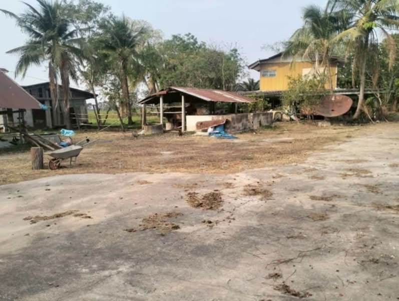 ที่ดินเสลภูมิ ร้อยเอ็ด, Roi Et, Khwao, Selaphum, Roi Et, , 11,500 sqm, Land For Sale, by The Best Property โบว์ลิ่ง, 500207983 - DDproperty.com