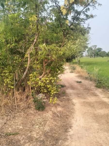 ที่ดินเสลภูมิ ร้อยเอ็ด, ร้อยเอ็ด, ขวาว, เสลภูมิ, ร้อยเอ็ด, 11,500 ตร.ม., ที่ดิน ขาย, โดย The Best Property โบว์ลิ่ง, 500207983 - DDproperty.com