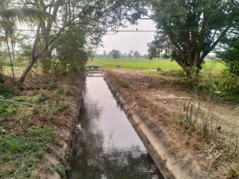 ที่ดินเสลภูมิ ร้อยเอ็ด, Roi Et, Khwao, Selaphum, Roi Et, , 11,500 sqm, Land For Sale, by The Best Property โบว์ลิ่ง, 500207983 - DDproperty.com