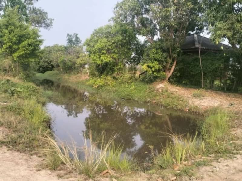 ที่ดินเสลภูมิ ร้อยเอ็ด, Roi Et, Khwao, Selaphum, Roi Et, , 11,500 sqm, Land For Sale, by The Best Property โบว์ลิ่ง, 500207983 - DDproperty.com