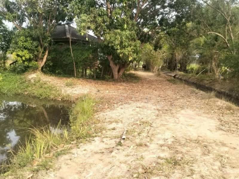 ที่ดินเสลภูมิ ร้อยเอ็ด, ร้อยเอ็ด, ขวาว, เสลภูมิ, ร้อยเอ็ด, 11,500 ตร.ม., ที่ดิน ขาย, โดย The Best Property โบว์ลิ่ง, 500207983 - DDproperty.com