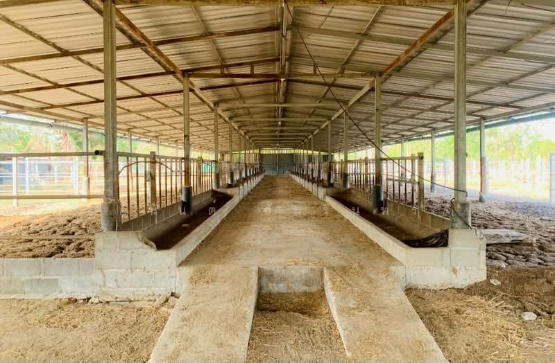 ขาย - ขายที่ดินพร้อมบ้านและฟาร์ม เนื้อที่ 12 ไร่ 0 งาน 83 ตร.ว. ใกล้ รร.บ้านท่าหัวลบ, เพชรบุรี