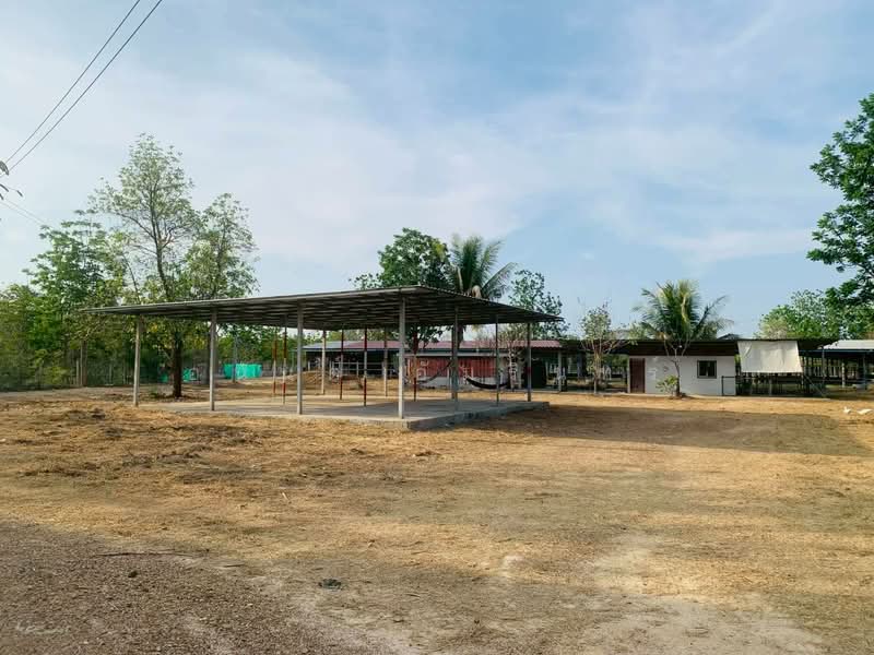 For Sale - Land for sale with house and farm, area 12 rai 0 ngan 83 sq.wah, near Ban Tha Hua Lop School, Phetchaburi