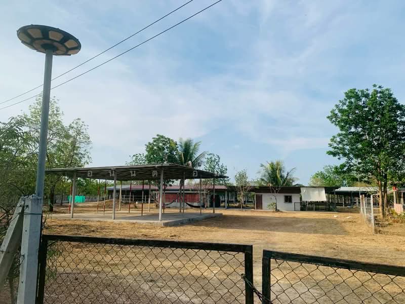 For Sale - Land for sale with house and farm, area 12 rai 0 ngan 83 sq.wah, near Ban Tha Hua Lop School, Phetchaburi