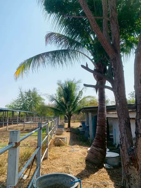 For Sale - Land for sale with house and farm, area 12 rai 0 ngan 83 sq.wah, near Ban Tha Hua Lop School, Phetchaburi
