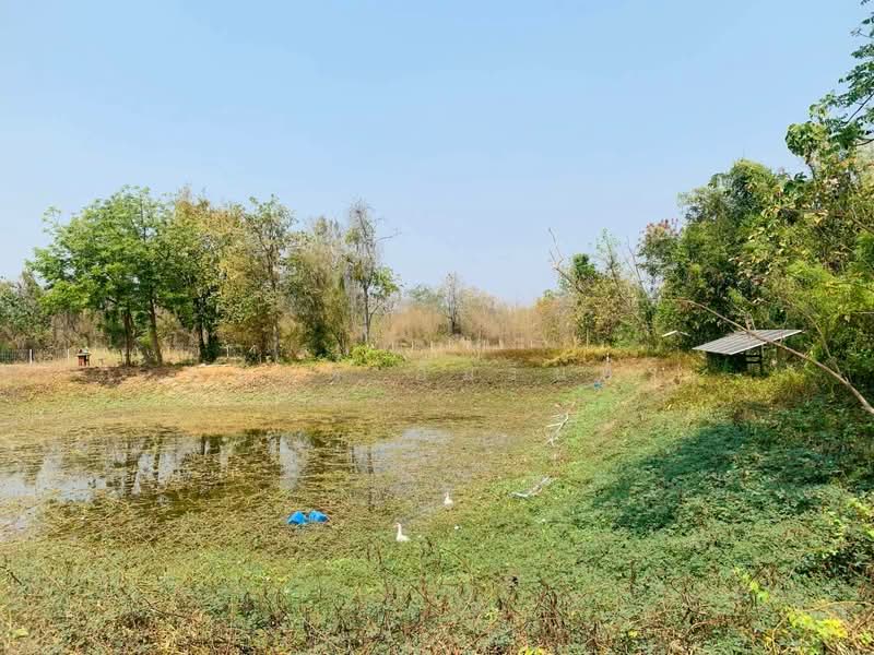 For Sale - Land for sale with house and farm, area 12 rai 0 ngan 83 sq.wah, near Ban Tha Hua Lop School, Phetchaburi