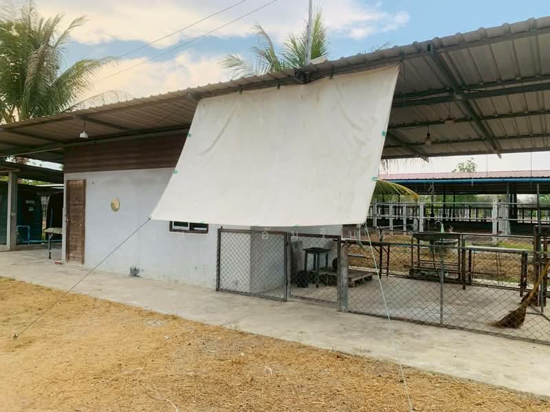 ขาย - ขายที่ดินพร้อมบ้านและฟาร์ม เนื้อที่ 12 ไร่ 0 งาน 83 ตร.ว. ใกล้ รร.บ้านท่าหัวลบ, เพชรบุรี