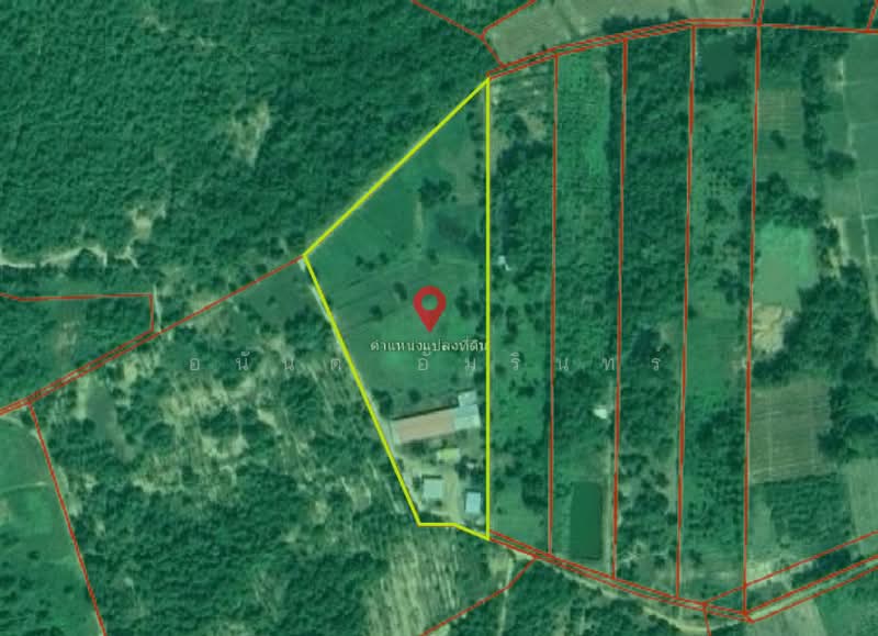 For Sale - Land for sale with house and farm, area 12 rai 0 ngan 83 sq.wah, near Ban Tha Hua Lop School, Phetchaburi