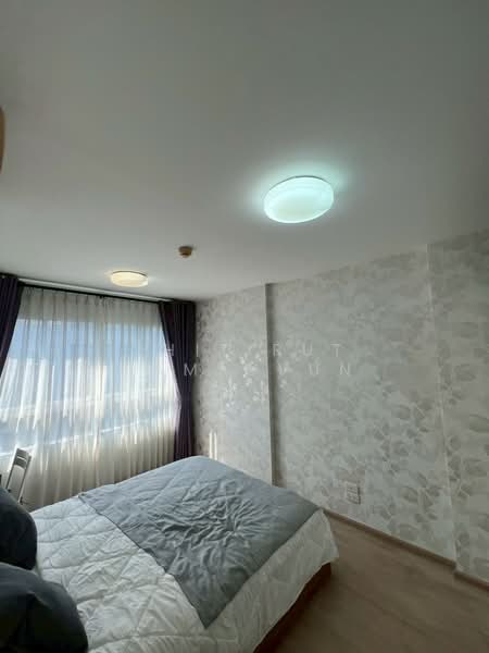 Elio Sukhumvit 64 : เอลลิโอ สุขุมวิท 64, Bangkok, 99 ซอยสุขุมวิท 64, Bang Chak, Phra Khanong, Bangkok, 1 Bedroom, 31 sqm, Condo For Rent, by Thitirut Jamsuvun, 500208004 - DDproperty.com