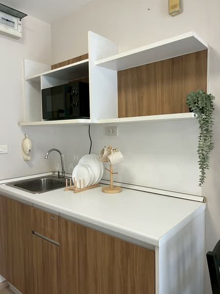 Elio Sukhumvit 64, Bangkok, 99 Soi Sukhumvit 64, Bang Chak, Phra Khanong, Bangkok, 1 Bedroom, 31 sqm, Condo For Rent, by Thitirut Jamsuvun, 500208004 - DDproperty.com