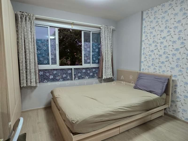 Elio Del Ray, Bangkok, 95 Sukhumvit 64 Road, Bang Chak, Phra Khanong, Bangkok, 1 Bedroom, 26 sqm, Condo For Rent, by Praewpakar Soontawong, 500208017 - DDproperty.com