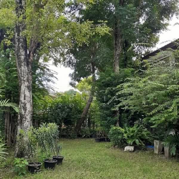 ให้เช่า - Sammakon Ramkhamhaeng : สัมมากร รามคำแหง, กรุงเทพ