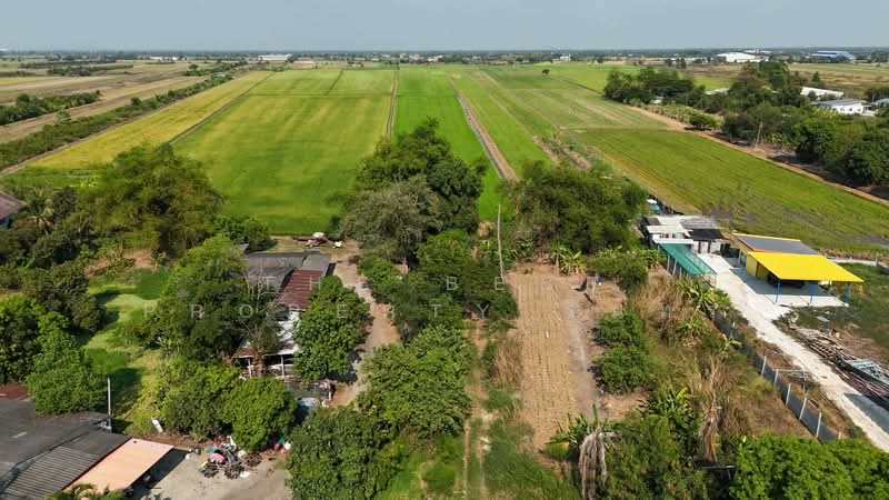 ที่ดินคลองหลวง ปทุมธานี, ปทุมธานี, คลองหก, คลองหลวง, ปทุมธานี, 14,820 ตร.ม., ที่ดิน ขาย, โดย The Best Property รินทร์, 500208044 - DDproperty.com