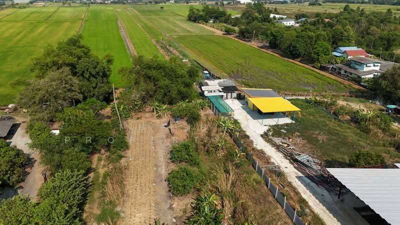 ที่ดินคลองหลวง ปทุมธานี, ปทุมธานี, คลองหก, คลองหลวง, ปทุมธานี, 14,820 ตร.ม., ที่ดิน ขาย, โดย The Best Property รินทร์, 500208044 - DDproperty.com