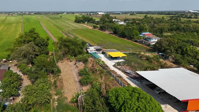 ที่ดินคลองหลวง ปทุมธานี, Pathum Thani, Khlong Hok, Khlong Luang, Pathum Thani, , 14,820 sqm, Land For Sale, by The Best Property รินทร์, 500208044 - DDproperty.com