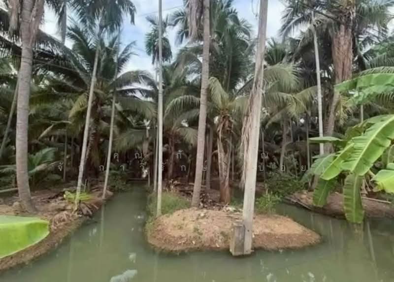 ที่ดินเปล่า 2 ไร่ 46 ตร.ว. ที่ดิน ใกล้วิสาหกิจชุมชนส้มโอมณฑลนครชัยศรี สามพราน นครปฐม, Nakhon Pathom, Tha Talat, Sam Phran, Nakhon Pathom, , 3,384 sqm, Land For Sale, by คุณ กันตภณ จักกาวิรักษ์ (บอย), 500208106 - DDproperty.com