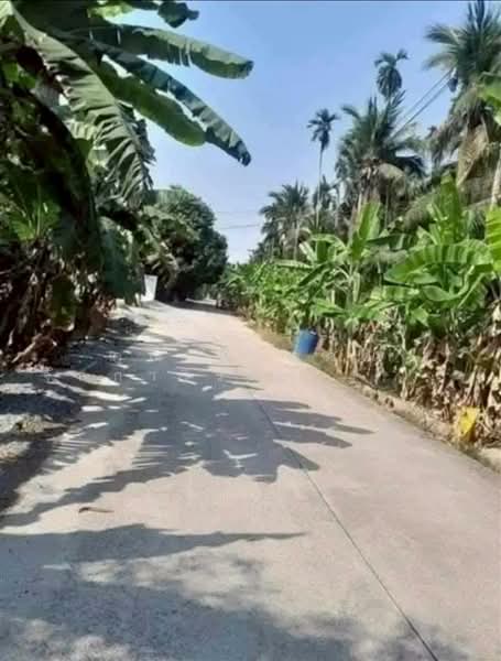 ที่ดินเปล่า 2 ไร่ 46 ตร.ว. ที่ดิน ใกล้วิสาหกิจชุมชนส้มโอมณฑลนครชัยศรี สามพราน นครปฐม, Nakhon Pathom, Tha Talat, Sam Phran, Nakhon Pathom, , 3,384 sqm, Land For Sale, by คุณ กันตภณ จักกาวิรักษ์ (บอย), 500208106 - DDproperty.com