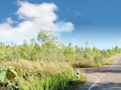 ขาย - ที่ดินรัตนวาปี หนองคาย, หนองคาย