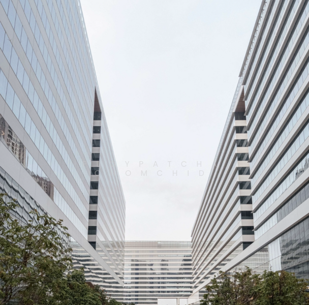 Cloud 11, Bangkok, Bang Chak, Phra Khanong, Bangkok, , 540 sqm, Office Space For Rent, by Ploypatcha Chomchid, 500208151 - DDproperty.com