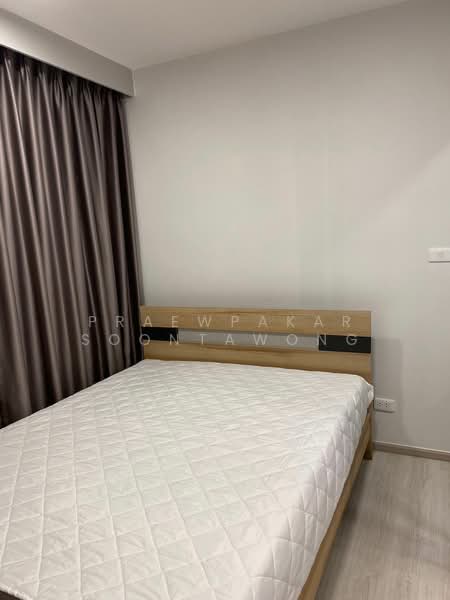 Plum Condo Sukhumvit 62, Bangkok, Sukhumvit 62, Bang Chak, Phra Khanong, Bangkok, 1 Bedroom, 28 sqm, Condo For Rent, by Praewpakar Soontawong, 500208169 - DDproperty.com