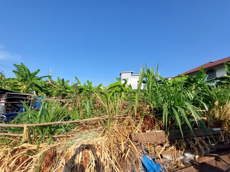 ขาย - ที่ดินสำโรงเหนือ สมุทรปราการ, สมุทรปราการ