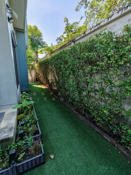 Life Bangkok Boulevard Ramintra 65, Bangkok, 50 Ramintra Road, Tha Rang, Bang Khen, Bangkok, 4 Bedrooms, 191 sqm, Single Detached House For Rent, by Anyaporn Srikanlayanabut, 500208282 - DDproperty.com