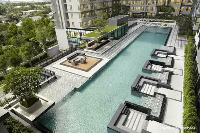 The Base Chaengwattana, Nonthaburi, Chaeng Watthana Road, Khlong Klue, Pak Kret, Nonthaburi, 1 Bedroom, 31 sqm, Condo For Rent, by กำพนธ์ อัศวศิริวิลาศ, 500208642 - DDproperty.com