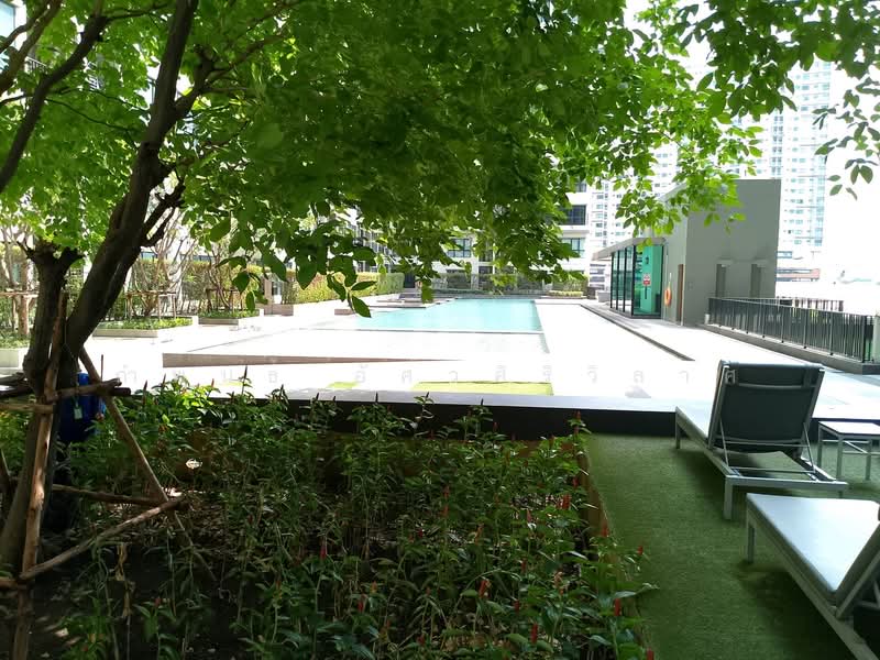 The Base Chaengwattana, Nonthaburi, Chaeng Watthana Road, Khlong Klue, Pak Kret, Nonthaburi, 1 Bedroom, 31 sqm, Condo For Rent, by กำพนธ์ อัศวศิริวิลาศ, 500208642 - DDproperty.com