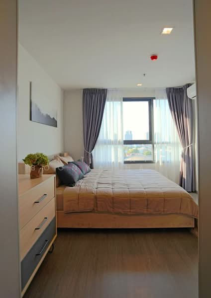 IDEO Sukhumvit 93, Bangkok, 2331 Soi Sukhumvit 93, Bang Chak, Phra Khanong, Bangkok, 1 Bedroom, 34 sqm, Condo For Rent, by Kitnipat Boonyadhammakul, 500208738 - DDproperty.com