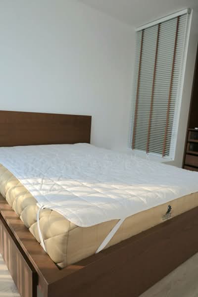 Indy Bangna-Ramkhamhaeng 2, Bangkok, Soi 7, Dok Mai, Prawet, Bangkok, 3 Bedrooms, 100 sqm, Townhouse For Rent, by Saowaluk Anupong, 500208785 - DDproperty.com