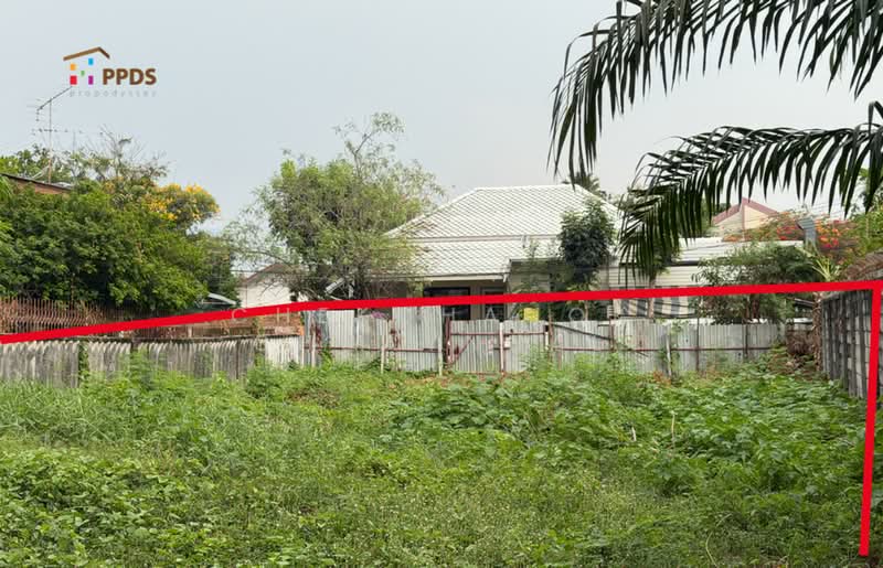 ที่ดิน ประชาชื่น ถนนเทศบาลรังรักษ์เหนือ, Bangkok, Lat Yao, Chatuchak, Bangkok, , 396 sqm, Land For Sale, by Chekchanok Chuaynual, 500208793 - DDproperty.com