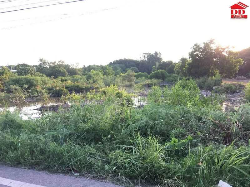 For Sale - ขายที่ดิน อำเภอท่าใหม่ จ.จันทบุรี ใกล้หาดเจ้าหลาว เพียง 4 กม., Chanthaburi