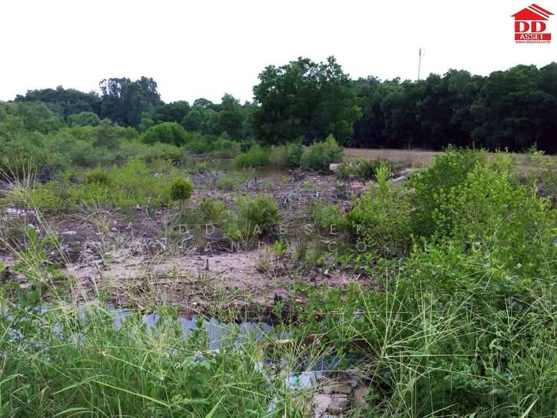 For Sale - ขายที่ดิน อำเภอท่าใหม่ จ.จันทบุรี ใกล้หาดเจ้าหลาว เพียง 4 กม., Chanthaburi