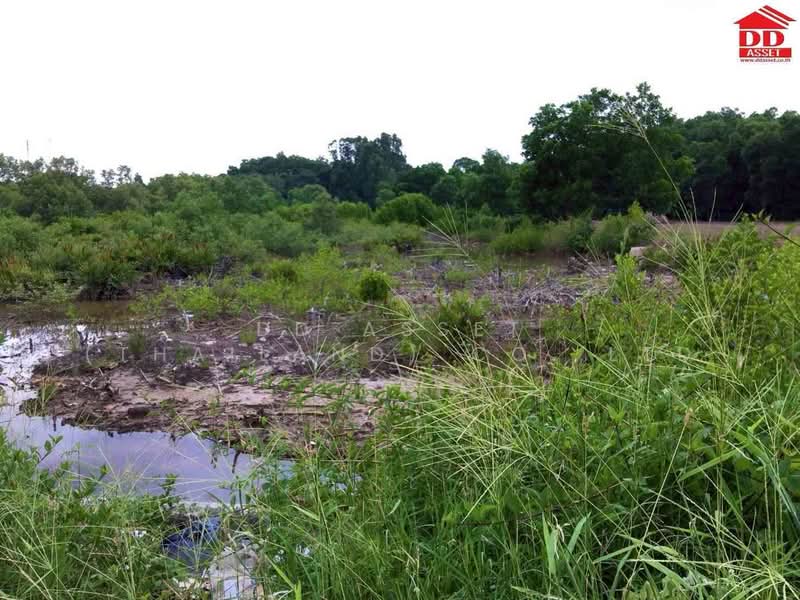 For Sale - ขายที่ดิน อำเภอท่าใหม่ จ.จันทบุรี ใกล้หาดเจ้าหลาว เพียง 4 กม., Chanthaburi