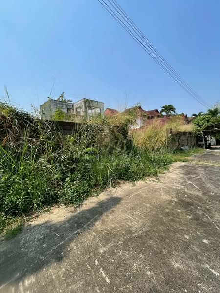 ขายด่วน! ที่ดินแปลงมุมสุดท้าย ทำเลทอง ใกล้มีโชคพลาซ่า เชียงใหม่ 🌿(สันทรายน้อย), Chiang Mai, San Sai Noi, San Sai, Chiang Mai, , 944 sqm, Land For Sale, by Sirinrat Maneerat, 500208849 - DDproperty.com