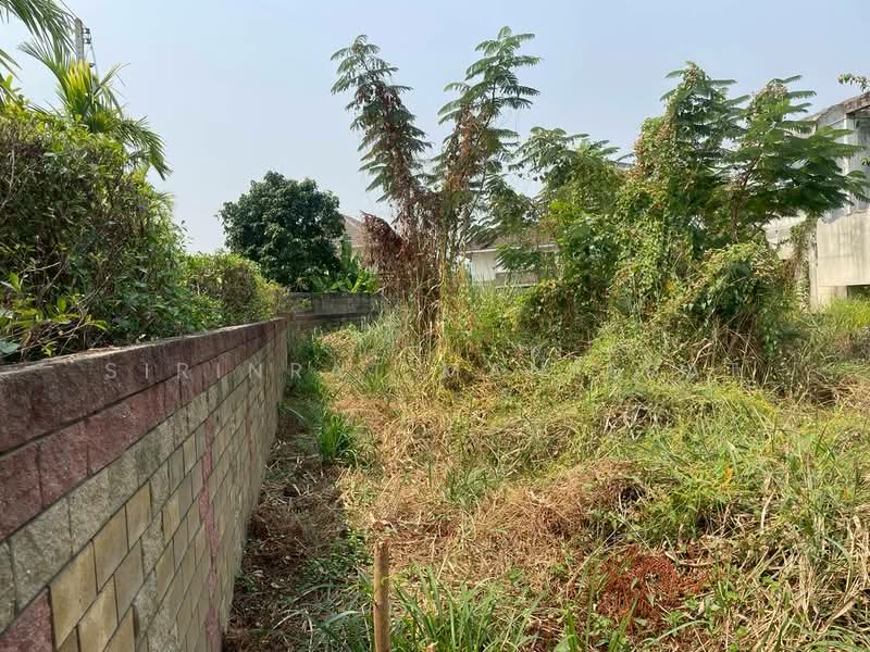 ขายด่วน! ที่ดินแปลงมุมสุดท้าย ทำเลทอง ใกล้มีโชคพลาซ่า เชียงใหม่ 🌿(สันทรายน้อย), Chiang Mai, San Sai Noi, San Sai, Chiang Mai, , 944 sqm, Land For Sale, by Sirinrat Maneerat, 500208849 - DDproperty.com