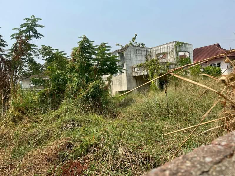 ขายด่วน! ที่ดินแปลงมุมสุดท้าย ทำเลทอง ใกล้มีโชคพลาซ่า เชียงใหม่ 🌿(สันทรายน้อย), Chiang Mai, San Sai Noi, San Sai, Chiang Mai, , 944 sqm, Land For Sale, by Sirinrat Maneerat, 500208849 - DDproperty.com