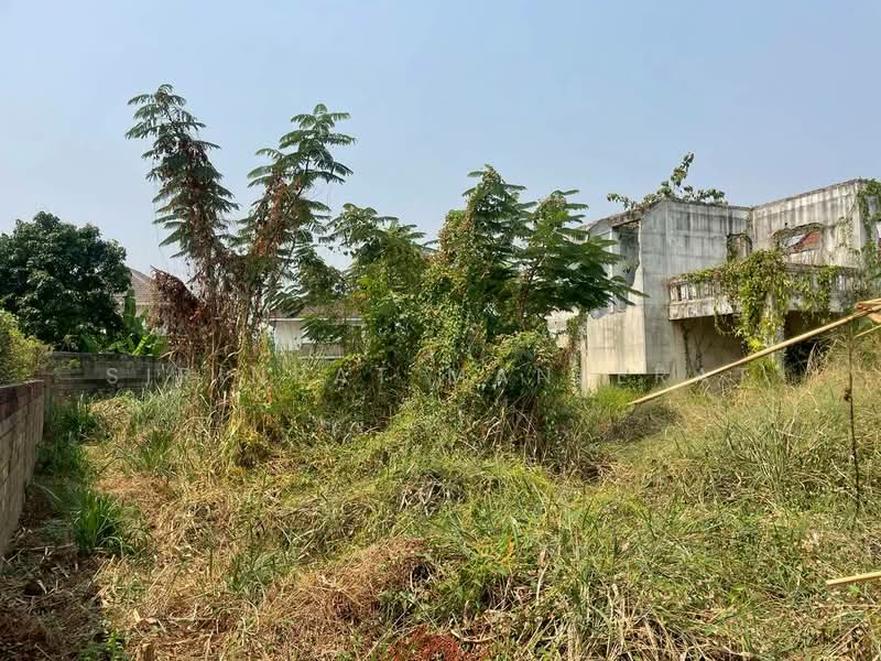 ขายด่วน! ที่ดินแปลงมุมสุดท้าย ทำเลทอง ใกล้มีโชคพลาซ่า เชียงใหม่ 🌿(สันทรายน้อย), เชียงใหม่, สันทรายน้อย, สันทราย, เชียงใหม่, 944 ตร.ม., ที่ดิน ขาย, โดย Sirinrat Maneerat, 500208849 - DDproperty.com