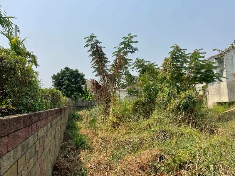 ขายด่วน! ที่ดินแปลงมุมสุดท้าย ทำเลทอง ใกล้มีโชคพลาซ่า เชียงใหม่ 🌿(สันทรายน้อย), Chiang Mai, San Sai Noi, San Sai, Chiang Mai, , 944 sqm, Land For Sale, by Sirinrat Maneerat, 500208849 - DDproperty.com