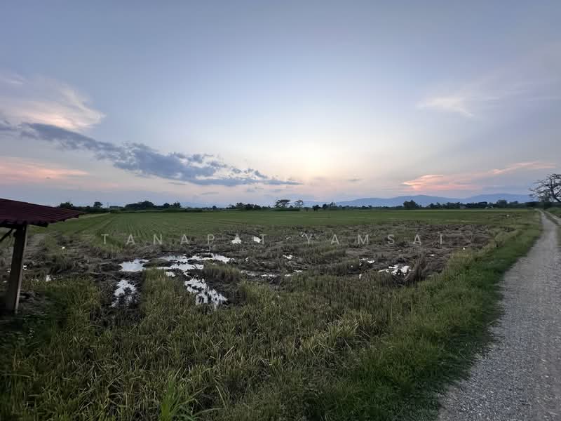 ริมกก, เชียงราย, ริมกก, เมืองเชียงราย, เชียงราย, 28,924 ตร.ม., ที่ดิน ขาย, โดย Tanapat Yamsai, 500208863 - DDproperty.com