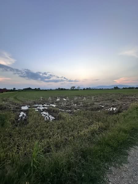 Rimkok, Chiang Rai, Rim Kok, Muang Chiang Rai, Chiang Rai, , 28,924 sqm, Land For Sale, by Tanapat Yamsai, 500208863 - DDproperty.com