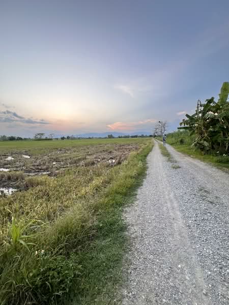 Rimkok, Chiang Rai, Rim Kok, Muang Chiang Rai, Chiang Rai, , 28,924 sqm, Land For Sale, by Tanapat Yamsai, 500208863 - DDproperty.com