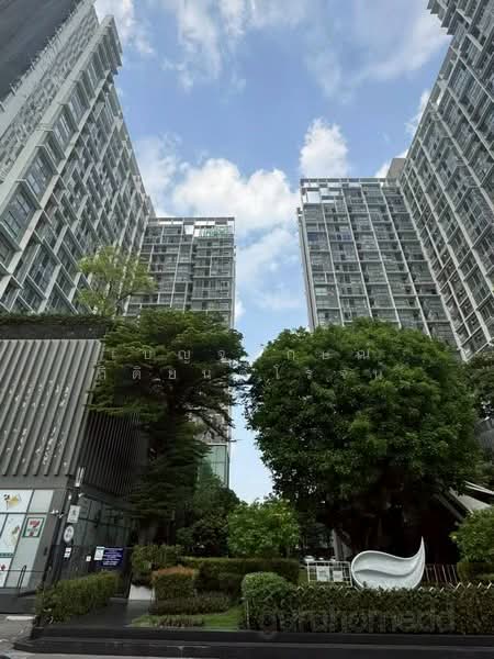 IDEO MOBI Sukhumvit 81, Bangkok, 2097 Sukhumvit Road, Bang Chak, Phra Khanong, Bangkok, 1 Bedroom, 33 sqm, Condo For Rent, by เบญจลักษณ์ กิติยนต์โรจน์, 500208884 - DDproperty.com