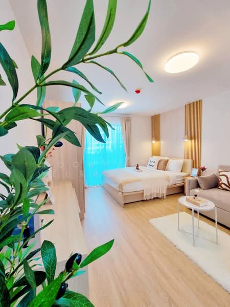 Elio Sukhumvit 64, Bangkok, 99 Soi Sukhumvit 64, Bang Chak, Phra Khanong, Bangkok, Studio, 24 sqm, Condo For Sale, by Poonyaporn Veerabulyarit, 500208908 - DDproperty.com